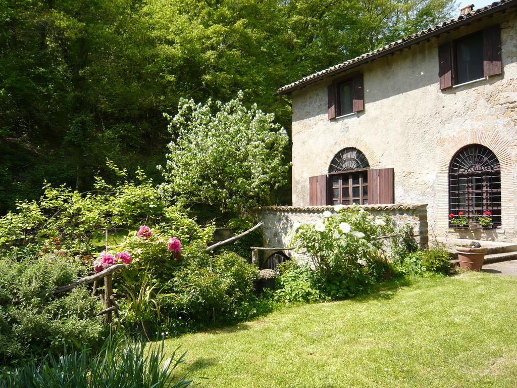 Villa il molinaccio al rio chiaro Civitella dʼAgliano Esterno foto