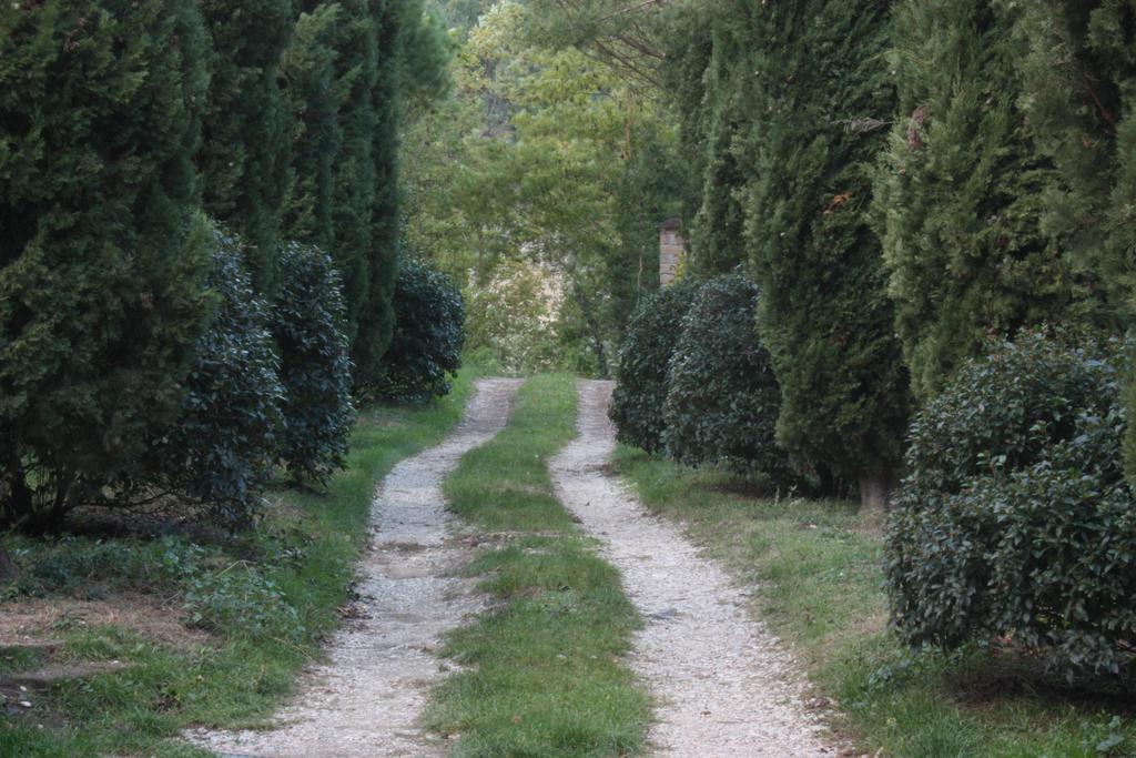 Villa il molinaccio al rio chiaro Civitella dʼAgliano Esterno foto