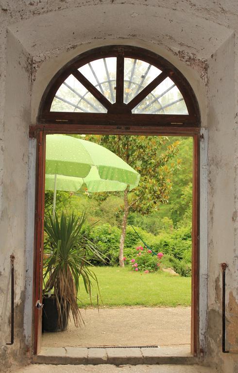 Villa il molinaccio al rio chiaro Civitella dʼAgliano Esterno foto
